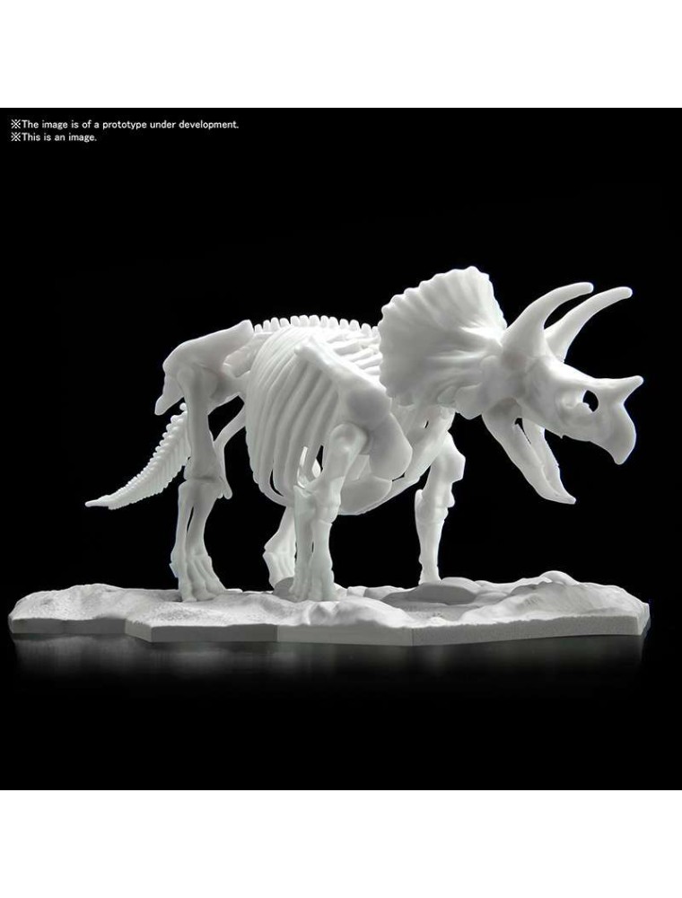 DINOSAUR LIMEX SKELETON TRICERATOPS MK