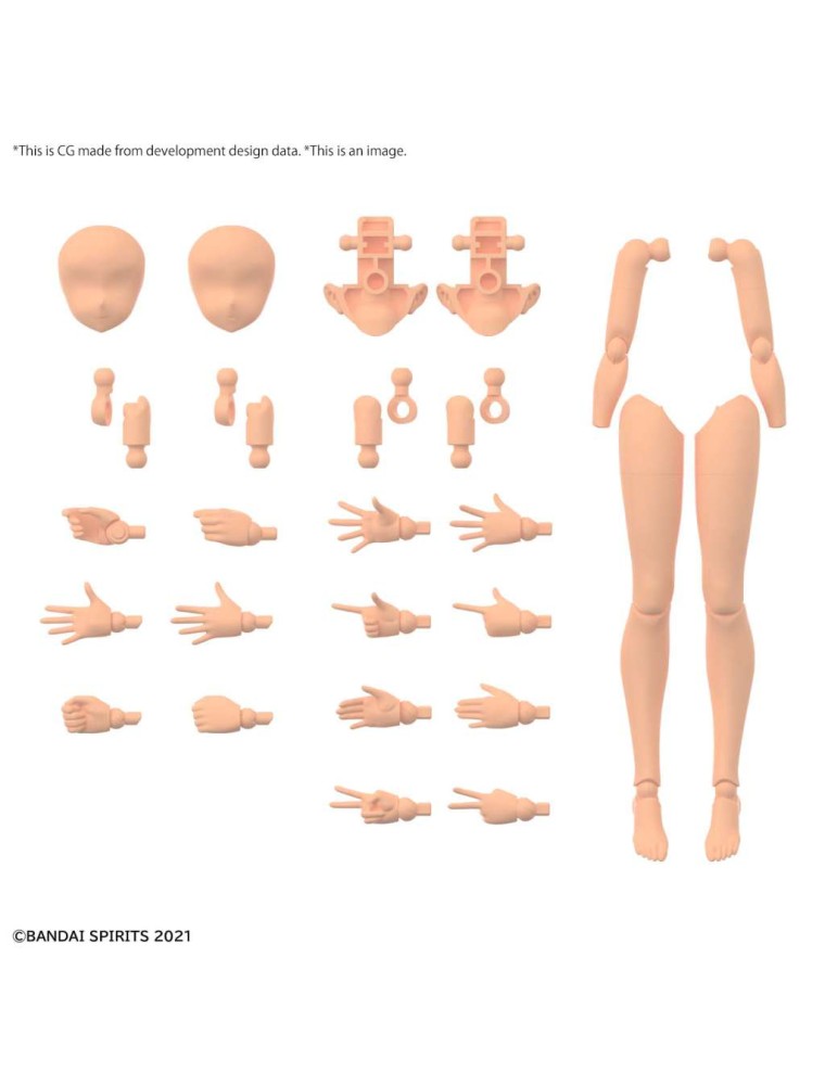 30MS OP BODY PARTS ARM & LEG COLOR C