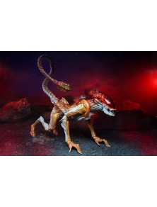 ALIENS KENNER PANTHER ALIEN AF