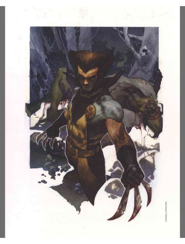 S.BIANCHI -WOLVERINE&SABRETOOTH- LYTHO