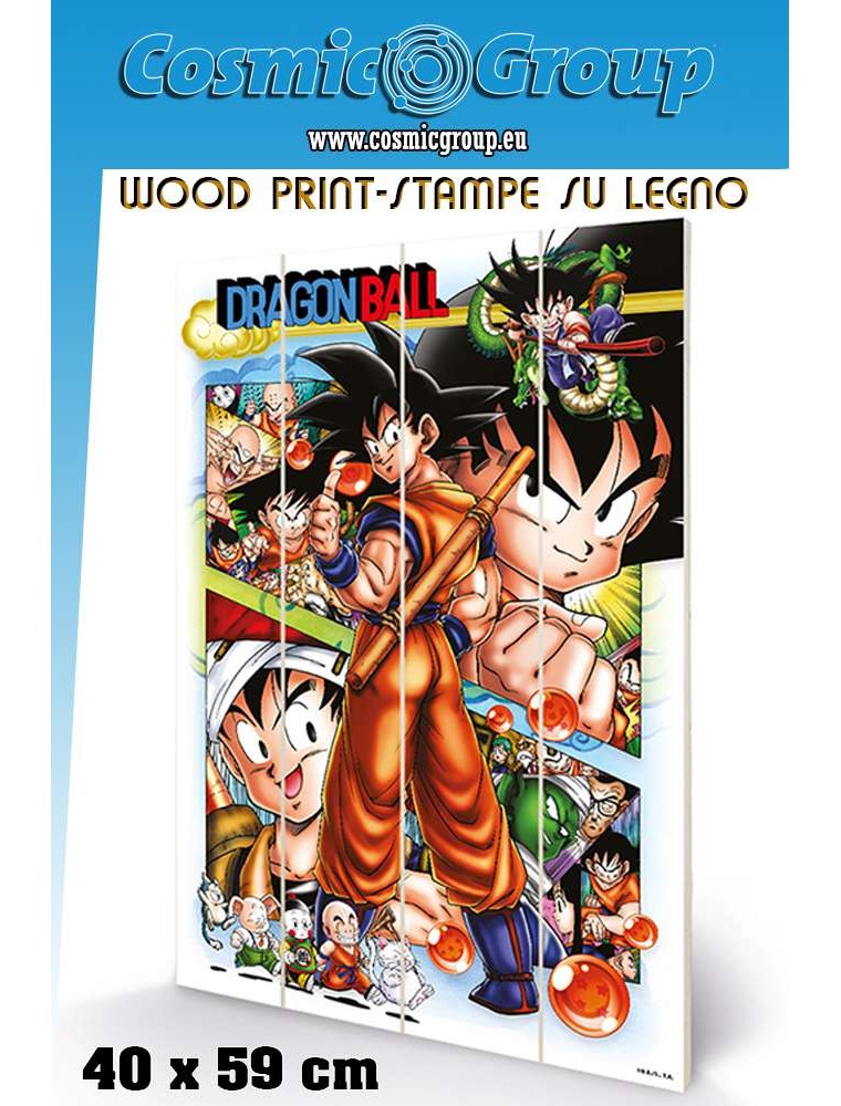 DRAGON BALL COMIC STRIP WOOD PRINT