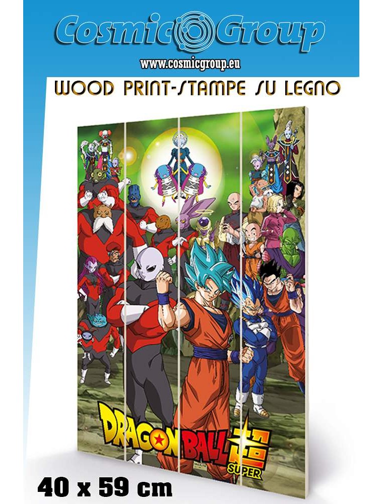 DRAGON BALL TOURNAMENT WOOD PRINT