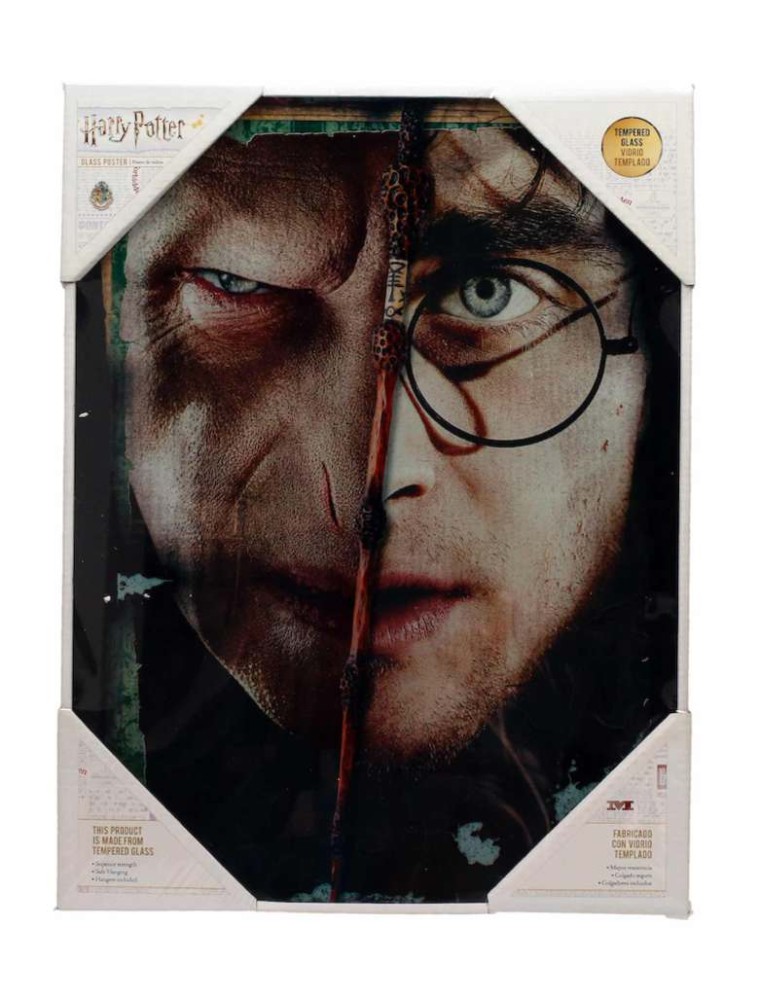 HP HALF FACE HARRY&VOLDEMORT GLASS POSTE