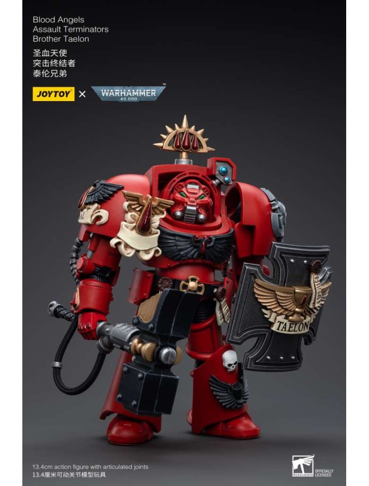 WH40K  BLOOD ANGELS ASSAULT TERM BRO TEA