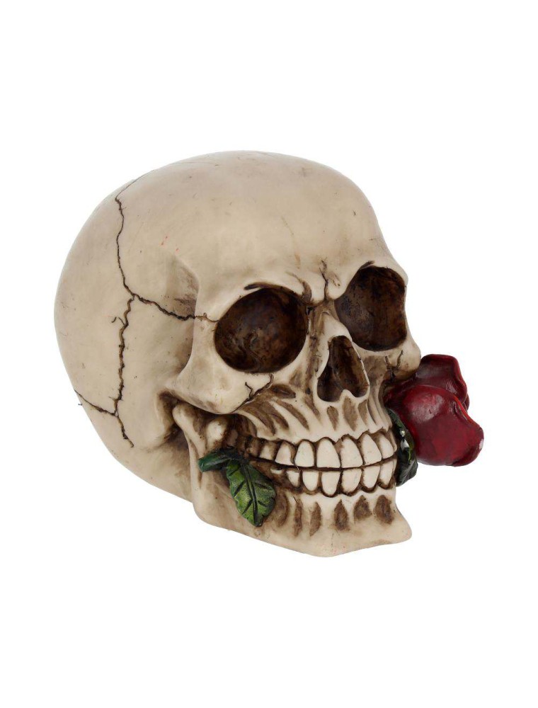 SKULL GOTHIC ROSE FROM THE DEAD