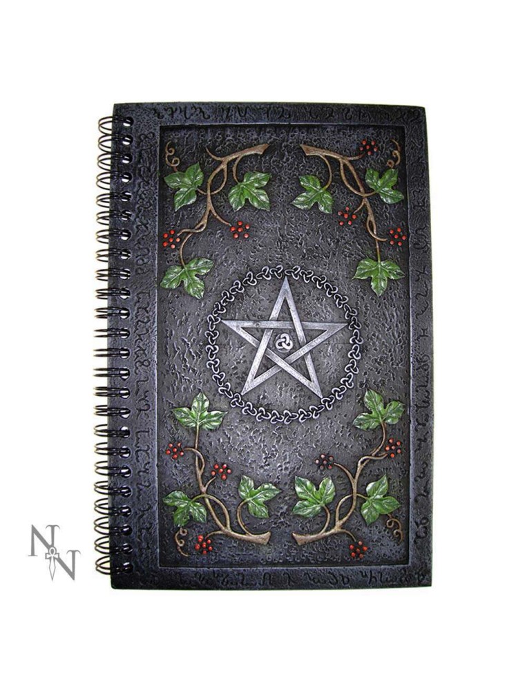 NOTEBOOK RESIN SPIRAL COVER WICCAN PENTA