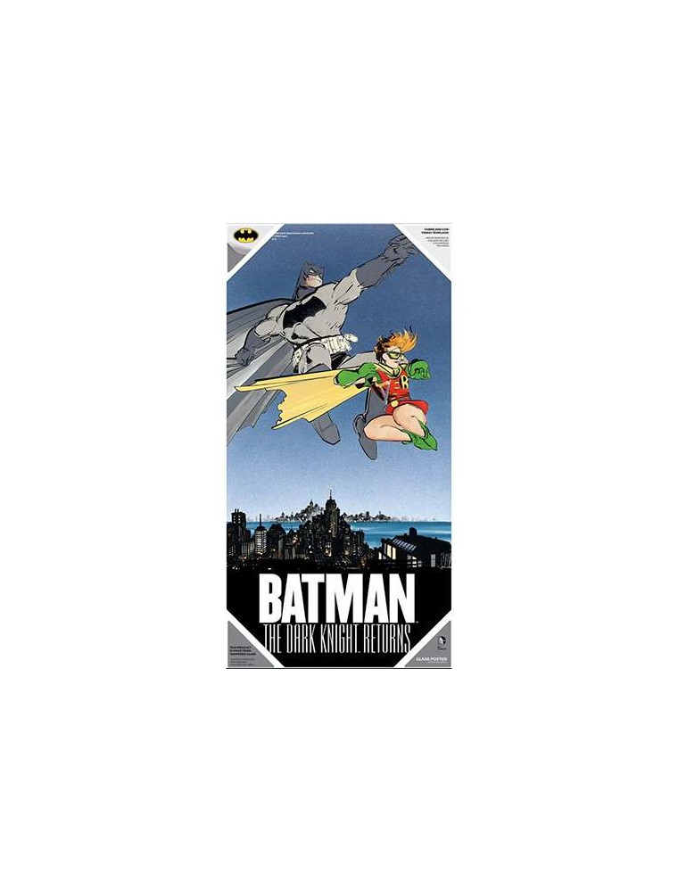 POSTER DK RET BATMAN AND ROBIN GLASS