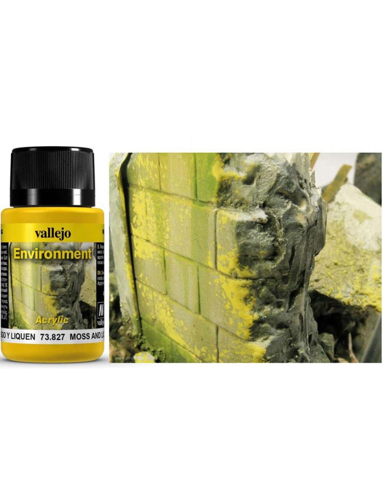 WEATHERING 73827 MOSS AND LICHEN 40ML