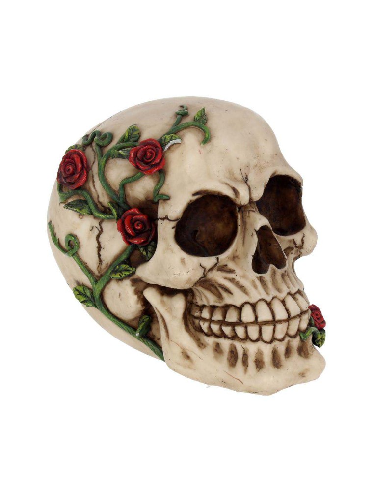 SKULL GOTHIC ROSE FROM BEYOND