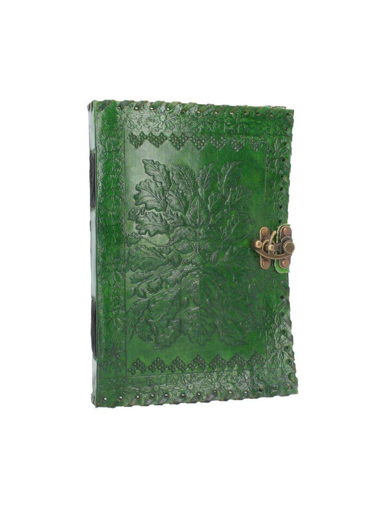 LEATHER DIARY EMBOSS GREENMAN & TWO LOCK