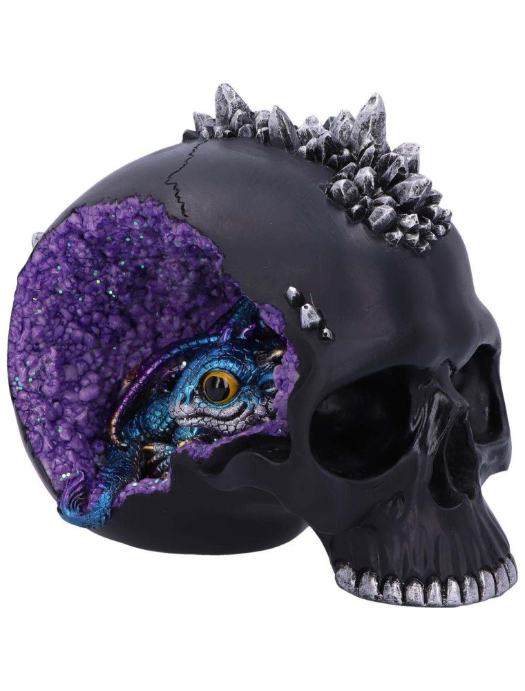 SKULL CRYSTAL CAVE BLACK DRAGON