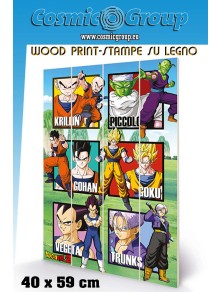 DRAGON BALL WARRIOR SQUARES...