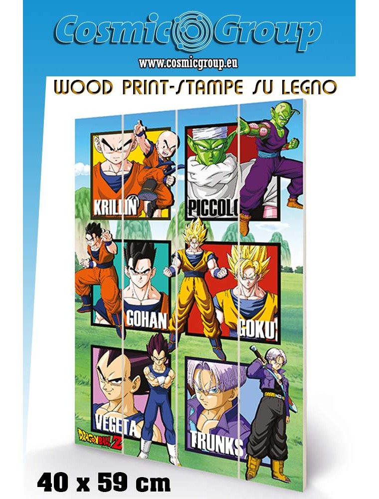 DRAGON BALL WARRIOR SQUARES WOOD PRINT