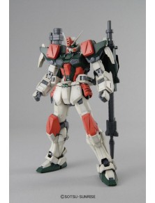 Gundam MASTER GRADE MG...