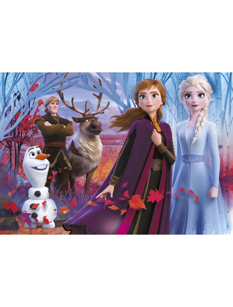 Disney Frozen 2 Puzzle 104 Pezzi Clementoni