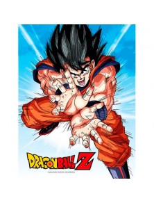 Dragon Ball Z Goku Kame...