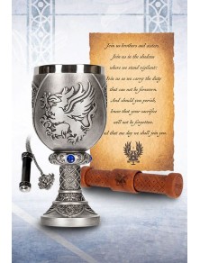 Dragon Age Regalo Set Grey...