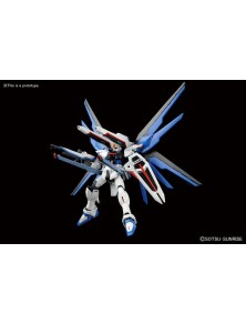 HGCE GUNDAM FREEDOM 1/144