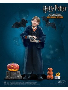 Harry Potter Figure in PVC...