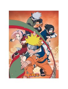 Naruto Shippuden Poster...